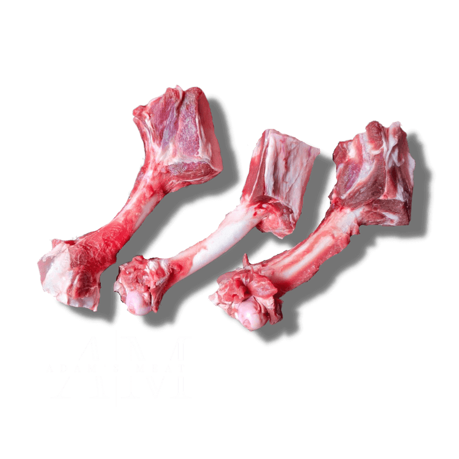 Lamb shop femur bones